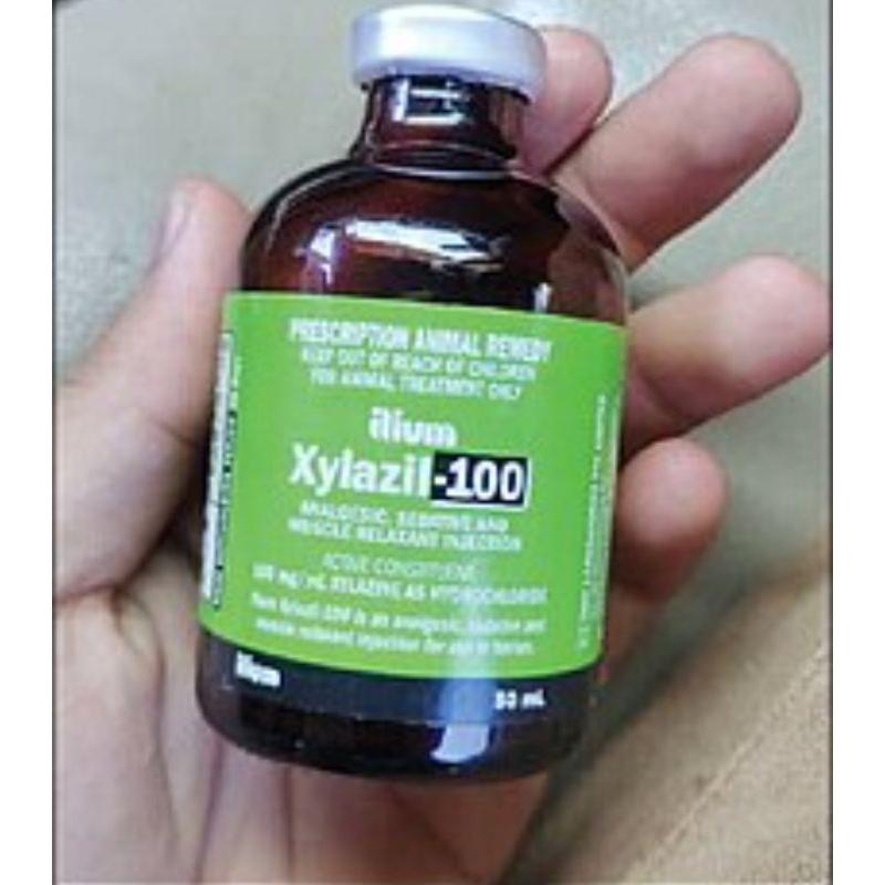 XYLAZIL-100 ILLIUM 50ML