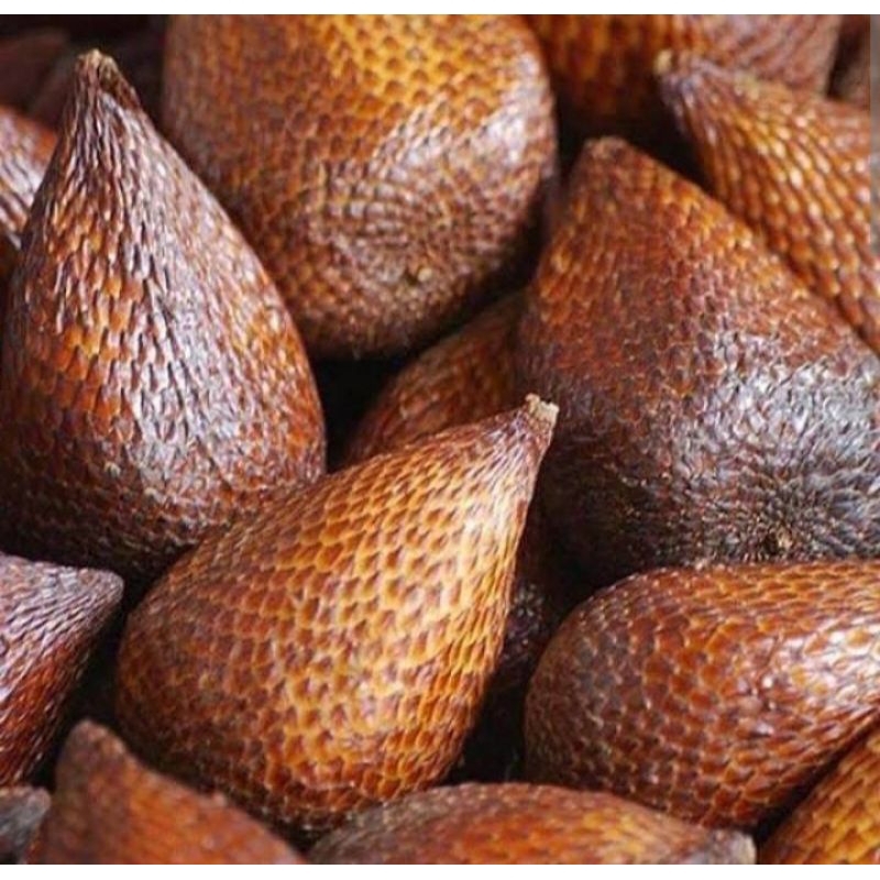 

Buah salak segar 1kg