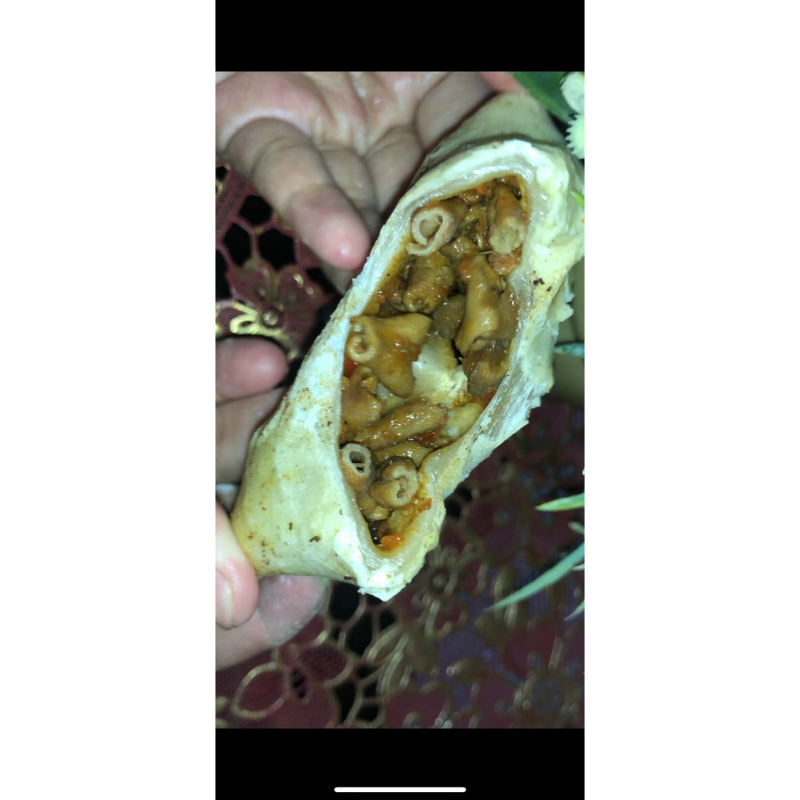 

Cireng usus
