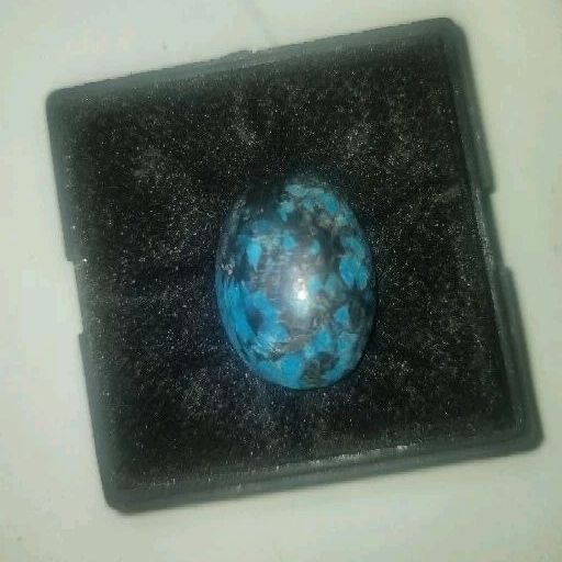 Bacan Doko Majiko Serat Kura-kura Kualitas Super Polkas