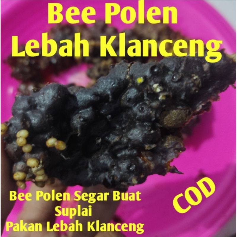 

Bee Polen/Serbuk Sari Bunga Lebah Klanceng/klulut/kele/Trigona