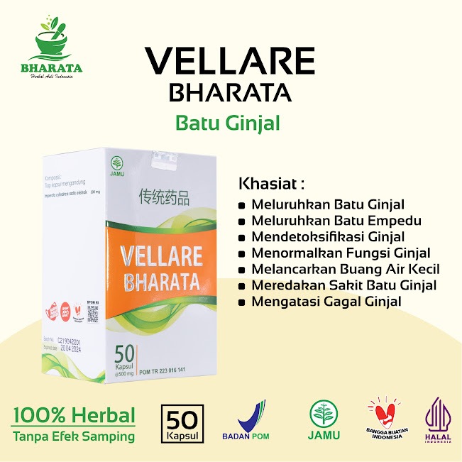 

Obat Batu Empedu, Gagal Ginjal Akut, Kencing Batu Herbal Vellare Bharata Original
