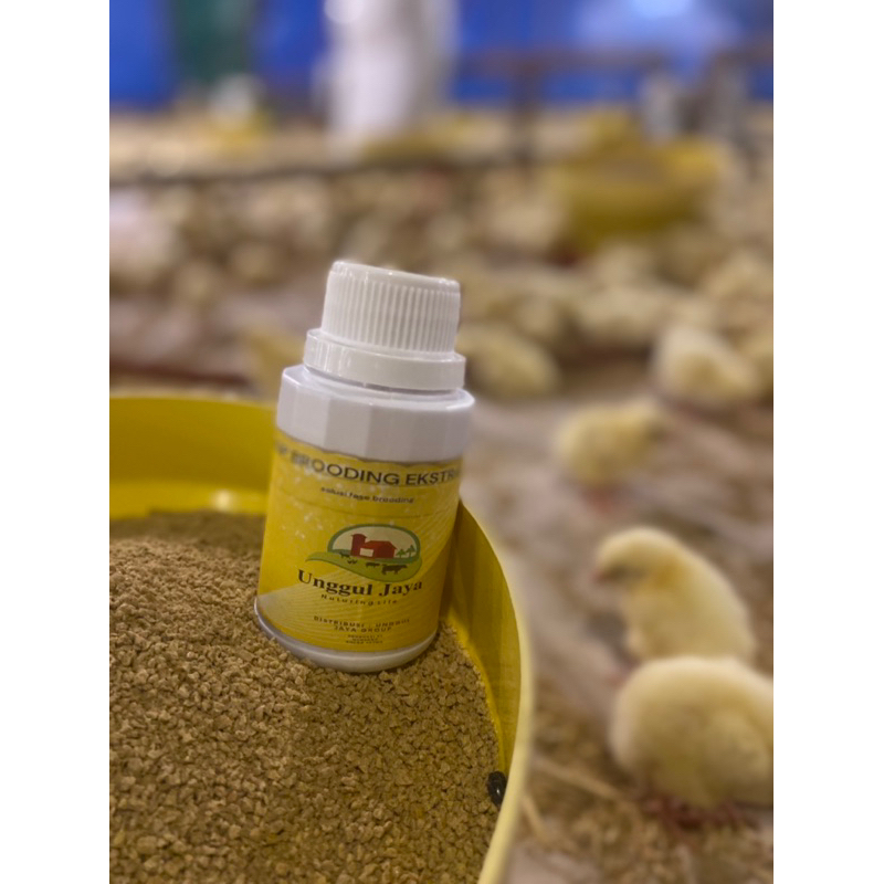 agp brooding ekstra (solusi ampuh masa brooding)