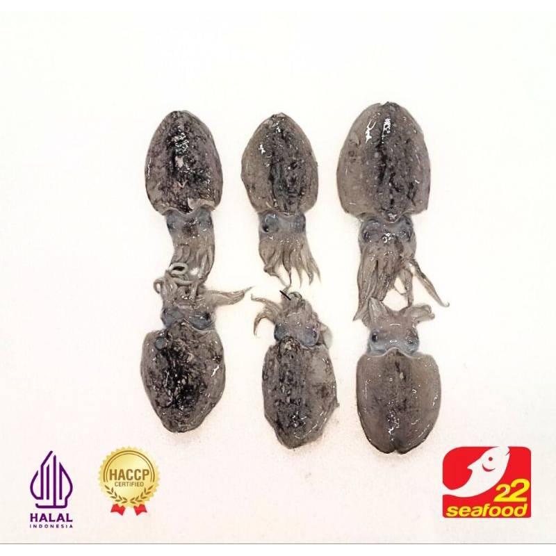 

Cumi Blakutak Sontong 500 gram / Seafood 22