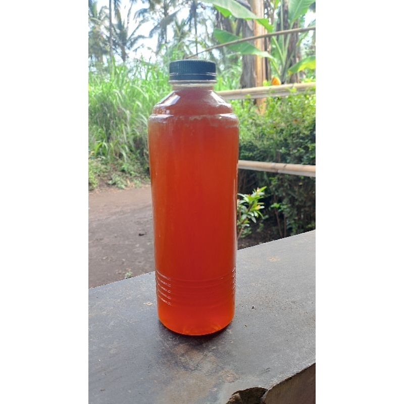 

madu apiscerana