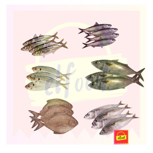 

IKAN LAUT SEGAR 1 Kg /ELFOOD/Daging/Seafood/Ikat Laut Segar/Balikpapan