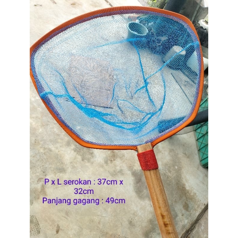 Serokan ikan hias serokan ikan lele saringan air