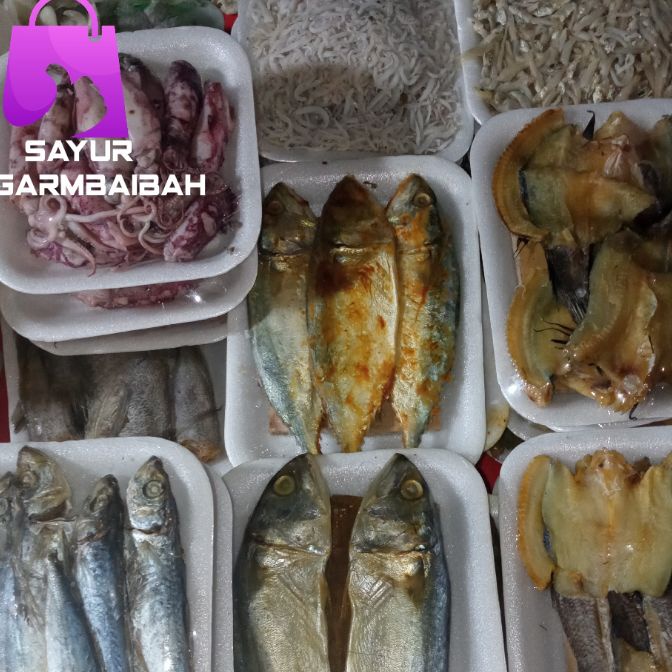 

HJ6 ikan asin perpack