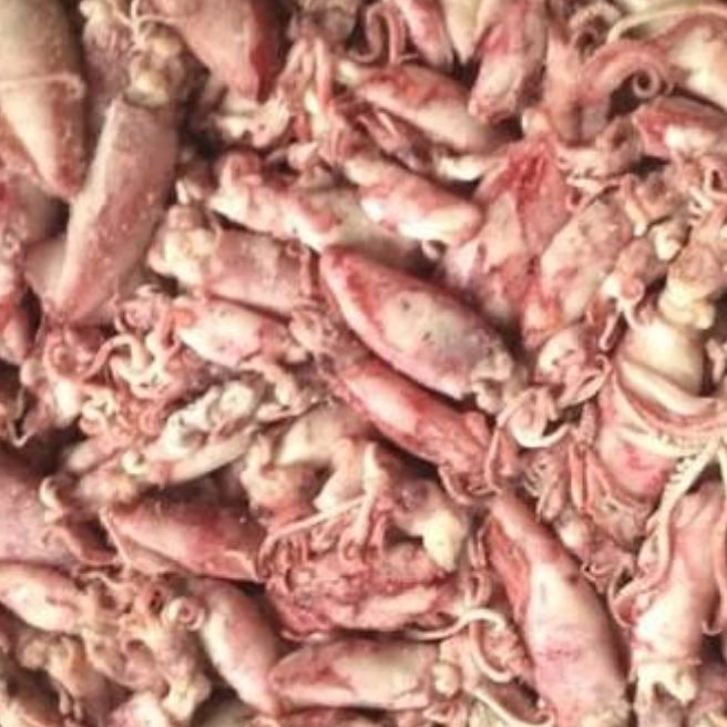 

Cepat SUPER PROMO Cumi Baby 1gram nagaexspress