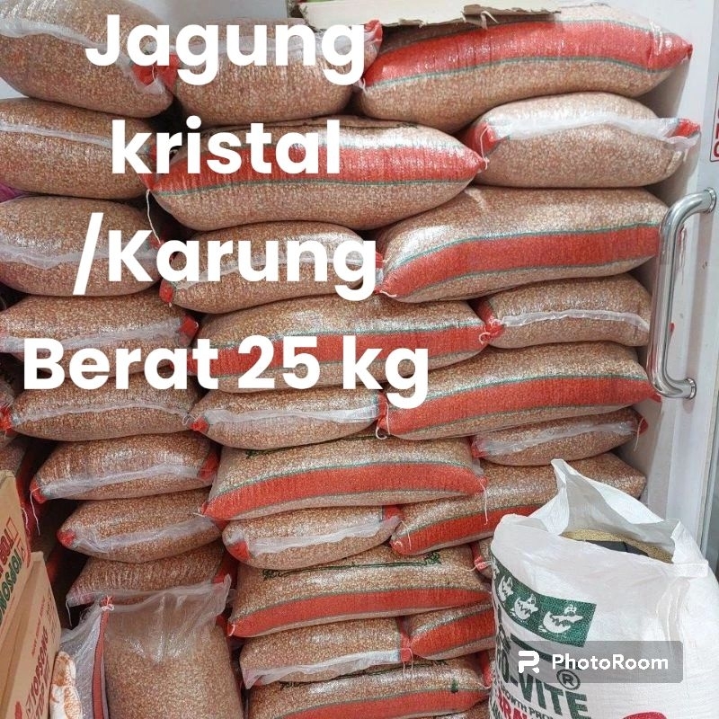 

JAGUNG KRISTAL PREMIUM 25KG JAGUNG MERPATI BURUNG DARA