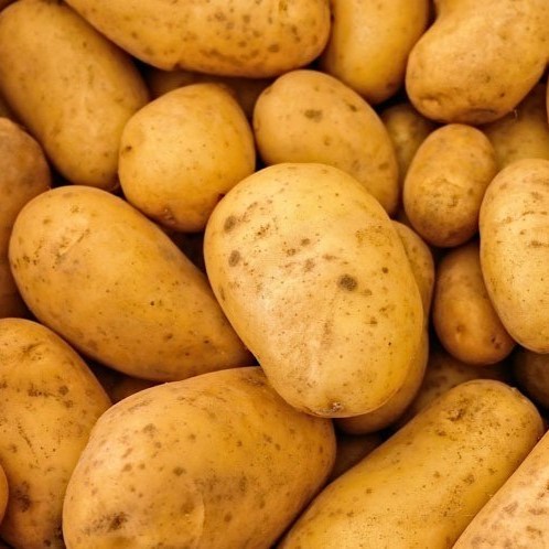 

Kentang Bromo Segar 1kg