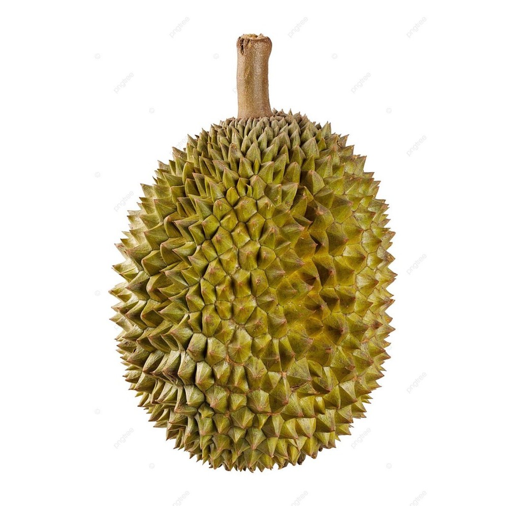 

Durian Jatuhan Utuh (bulat) Min 6 pcs