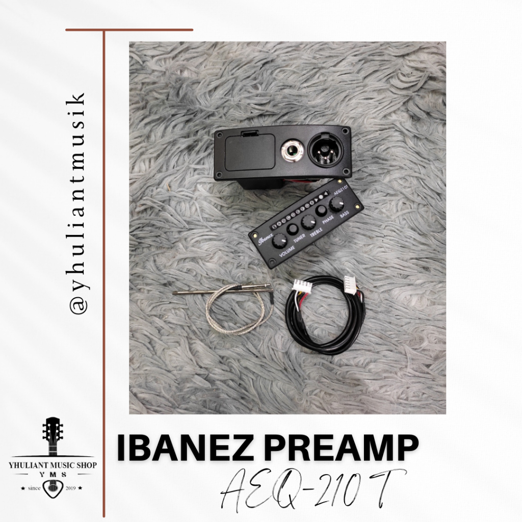 Ibanez AEQ210T By Fishman Preamp On Board Built in Tuner Original