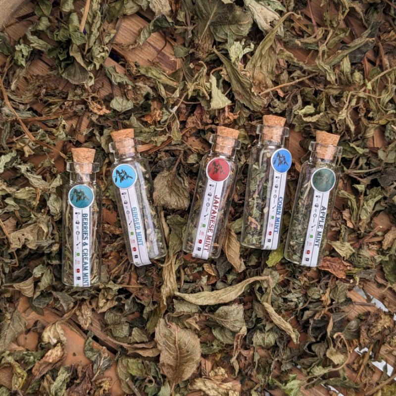 

PREMIUM DRIED MINT LEAVES IN BOTTLE / MINT KERING 5ml