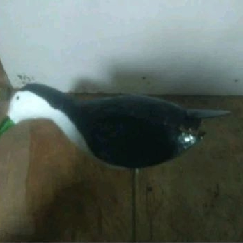 PATUNG RUAK RUAK/jontrot ruak ruak