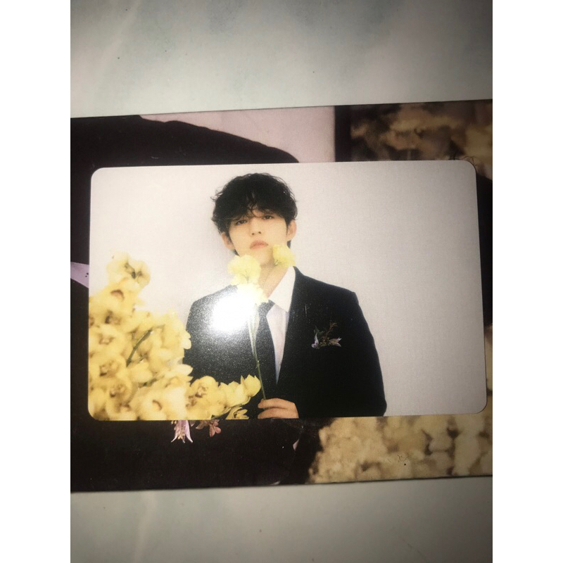 (Ready) PC Scoups Official FML