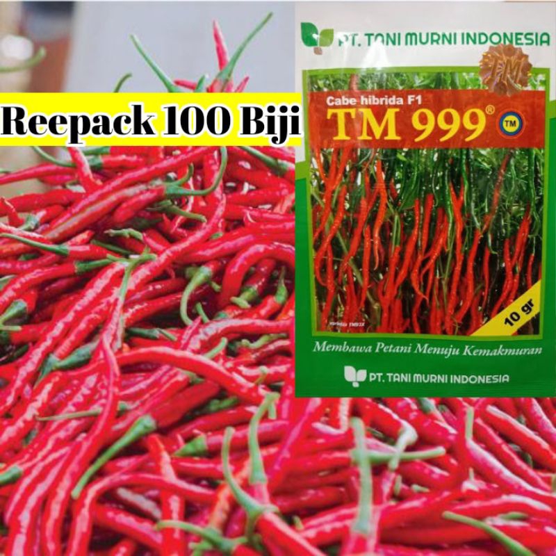100 Biji Cabe Keriting TM 999 | Benih Cabai Keriting | Bibit Cabe Keriting Hybrida