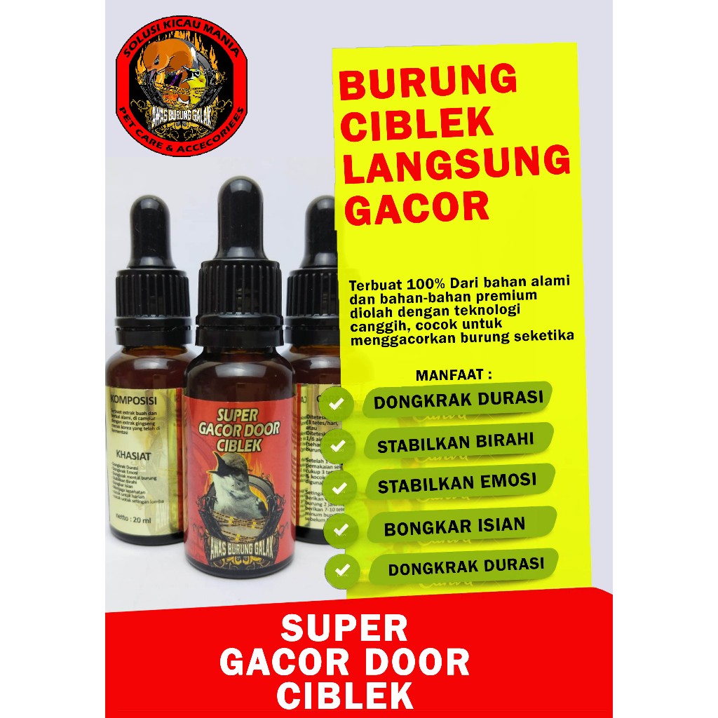 SUPER GACOR DOOR CIBLEK PENGGACOR SEKETIKA