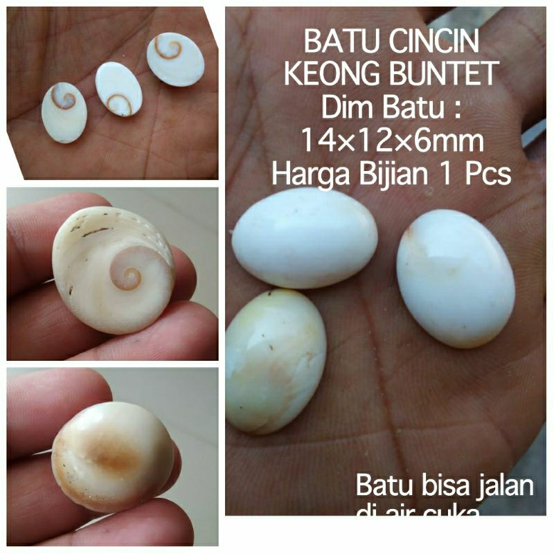 BATU CINCIN KEONG KOLL BUNTET KRISTAL NATURAL ALAM 100%