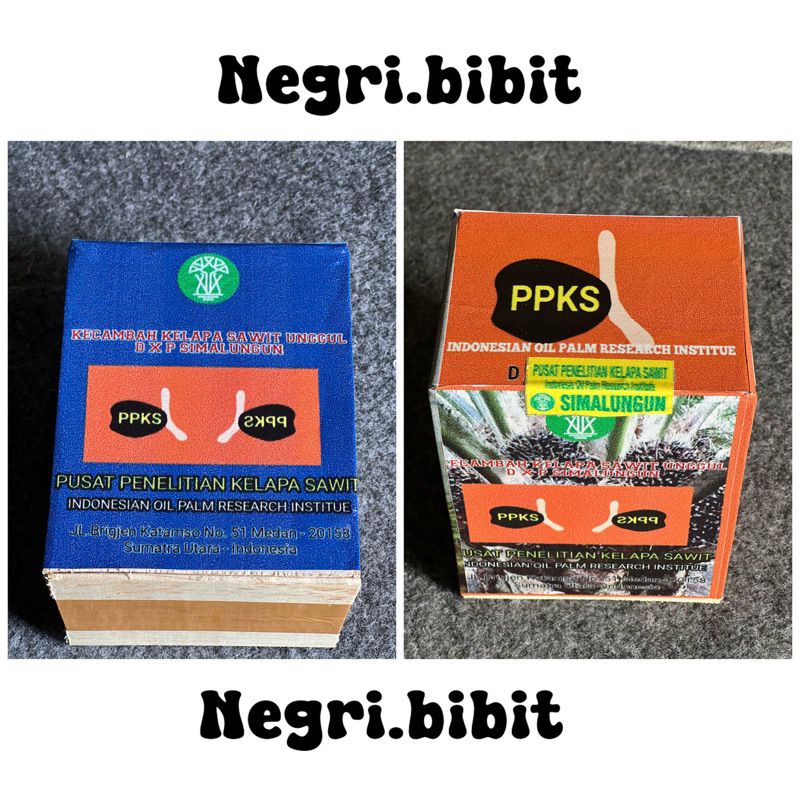 bibit sawit Ppks simalungun 250 butir