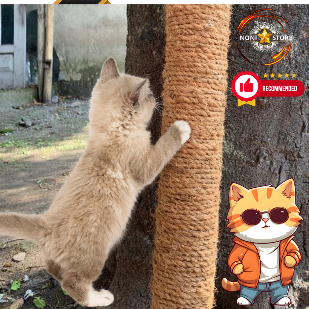 TIANG GARUKAN KUCING/CAKARAN KUCING BERDIRI/Cakaran Kucing / Cat Scratcher / Mainan Garukan Kucing