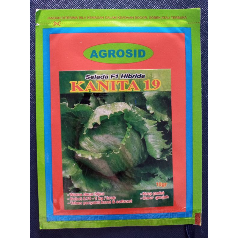 BENIH/ BIBIT SELADA KANITA 19  AGROSID