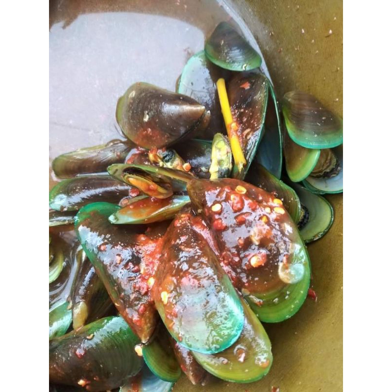 

kerang hijau kuah kuning