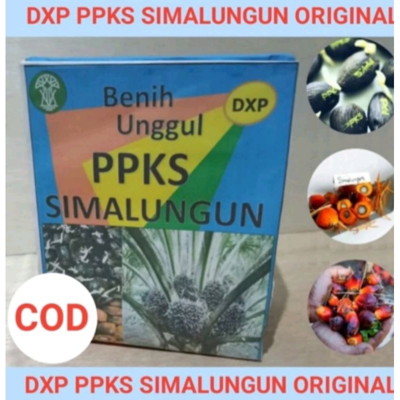 bibit sawit varietas ppks Simalungun