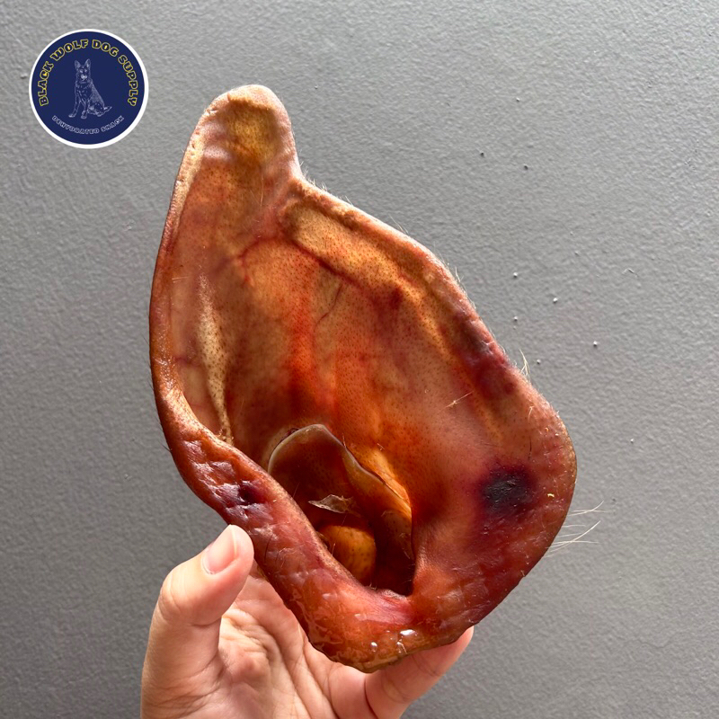 Whole Pig Ear