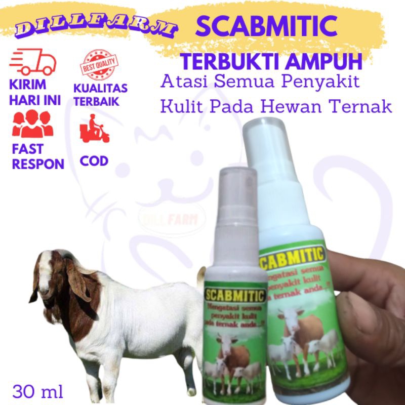 obat gudik gatal pada kambing sapi domba 30 ml dillfarm