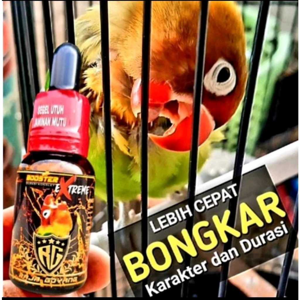 BOOSTER XTREME LOVEBIRD RG BOOSTER XTREME PENGGACOR BURUNG LOVEBIRD