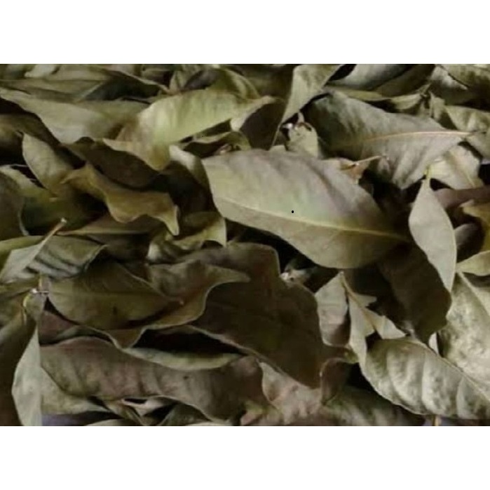 

Daun salam kering di keringkan dengan sinar matahari asli original