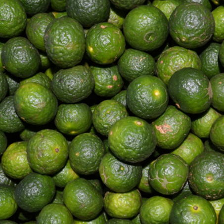 

Jeruk Limau / Jeruk murah 100gr