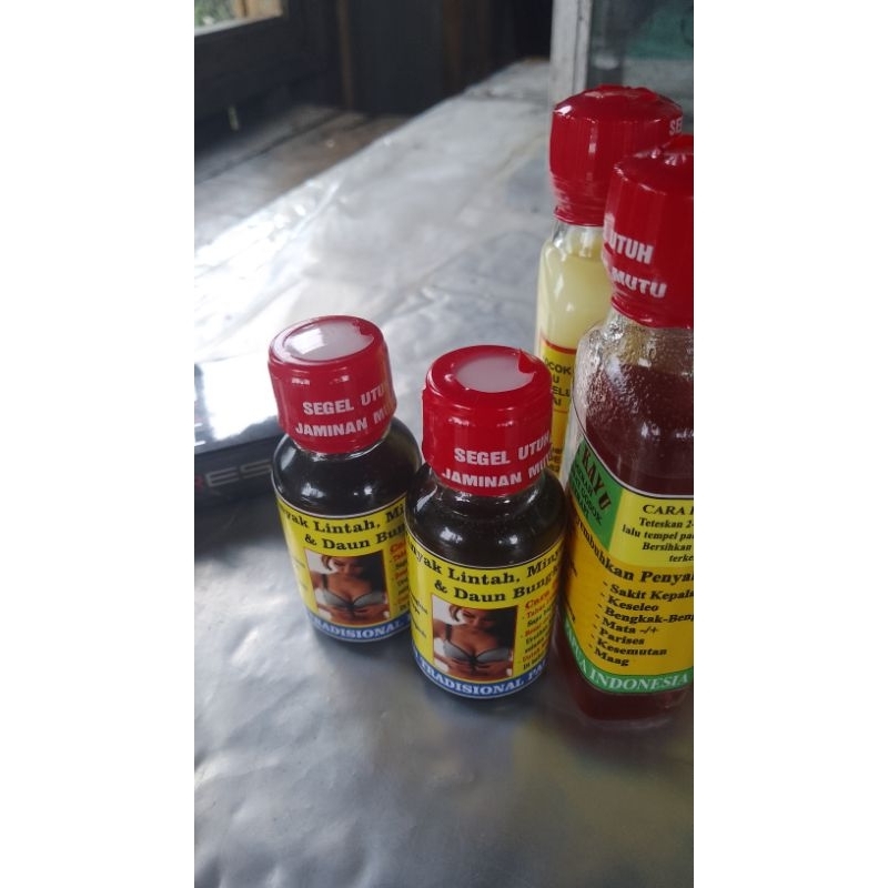 Minyak bulus minyak lintah dan daun bungkus