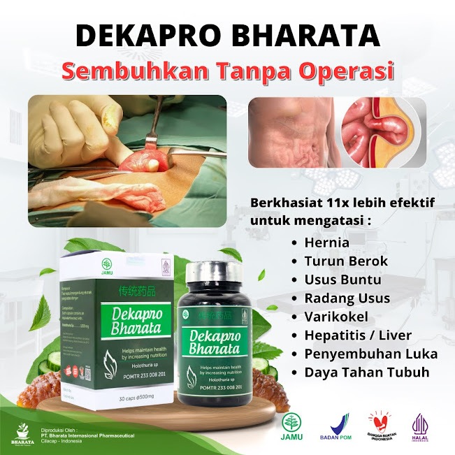 Obat HERNIA Ampuh Original DEKAPRO BHARATA | Obat Turun Berok Pria Wanita | Obat Turun Rahim | Usus 