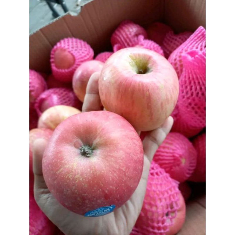 

buah apel Fuji berat 1 kg fresh segar