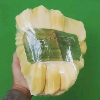 

Jack Fruit/Artocarpus Heterophyllus/Nangka (Matang Pohon Manis)