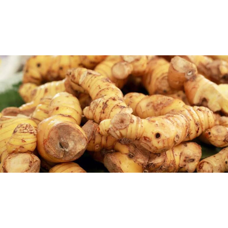 

Lengkuas Fresh 500gr Ready