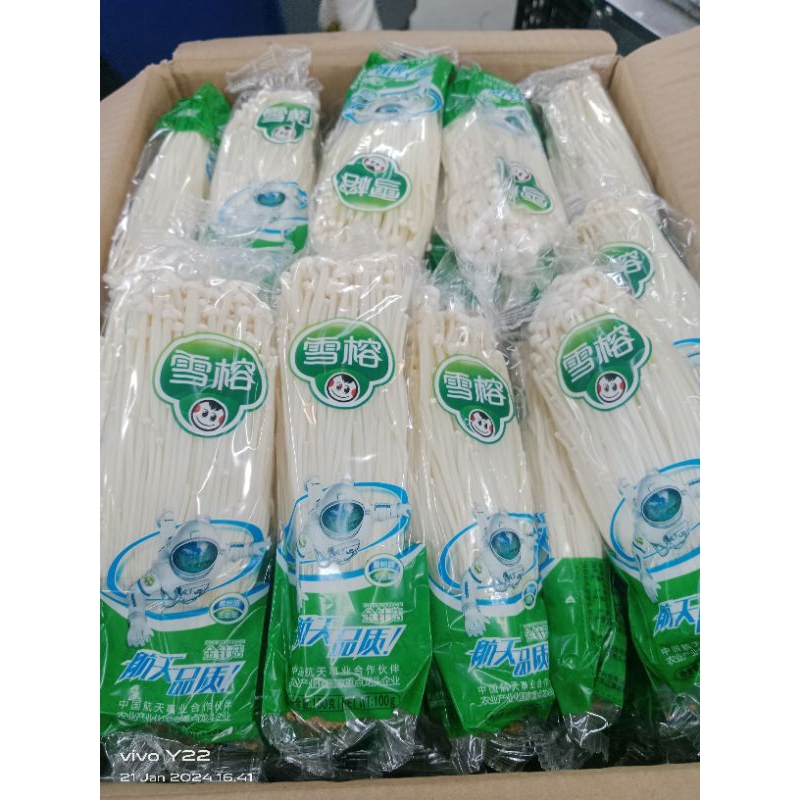 

jamur enoki