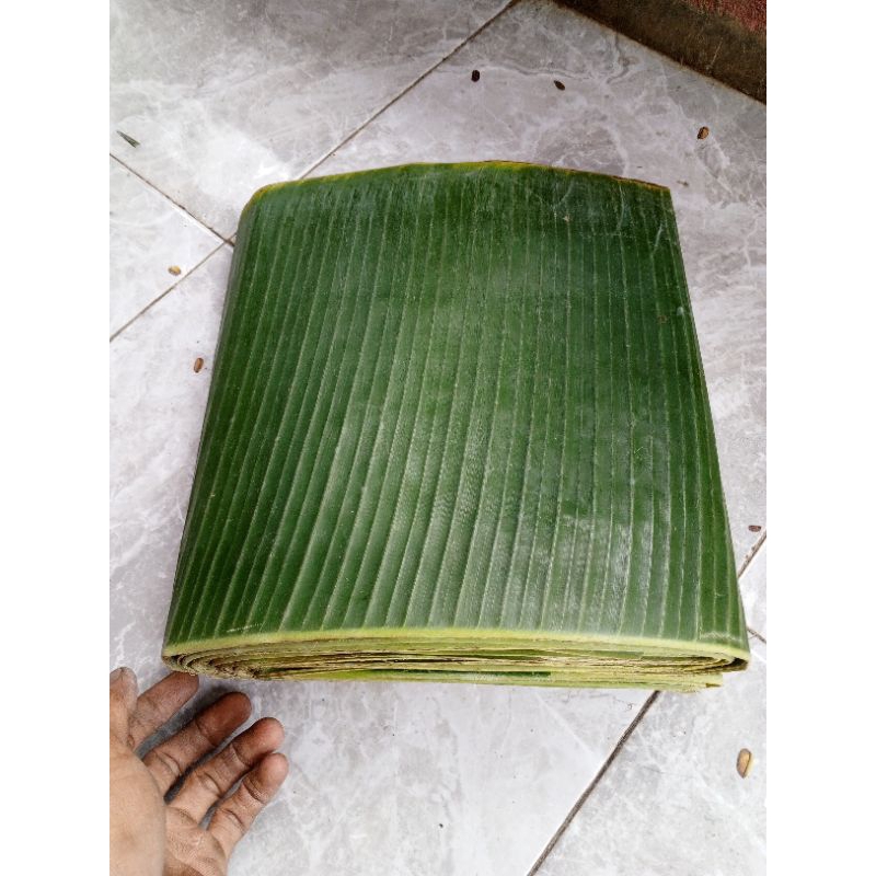 

daun pisang manggala segar