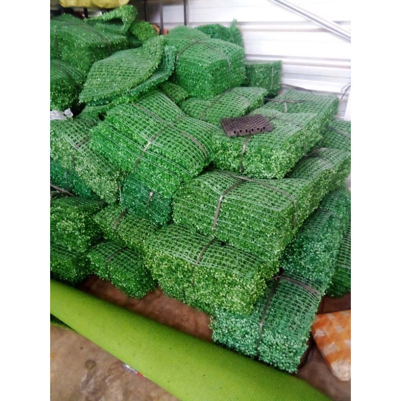 DAUN DOLAR SINTETIS