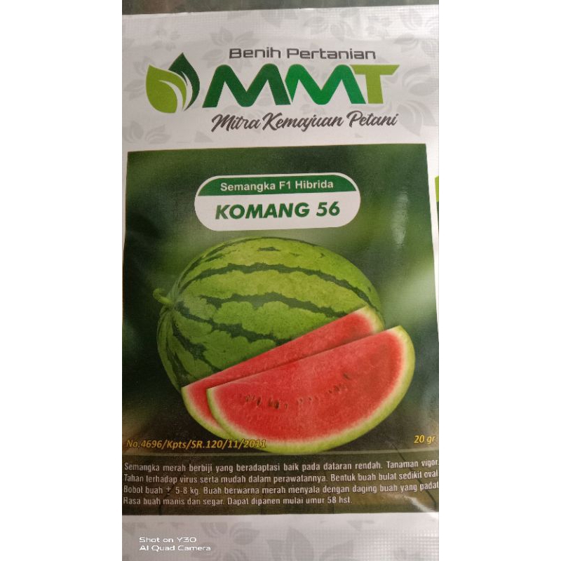 (READY STOK )Benih Semangka F1 Hybrida KOMANG 56 MMT 20gram