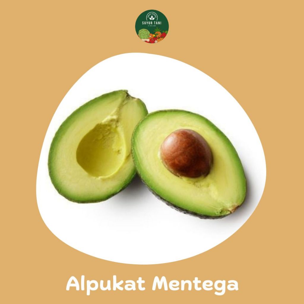 

ALPUKAT MENTEGA