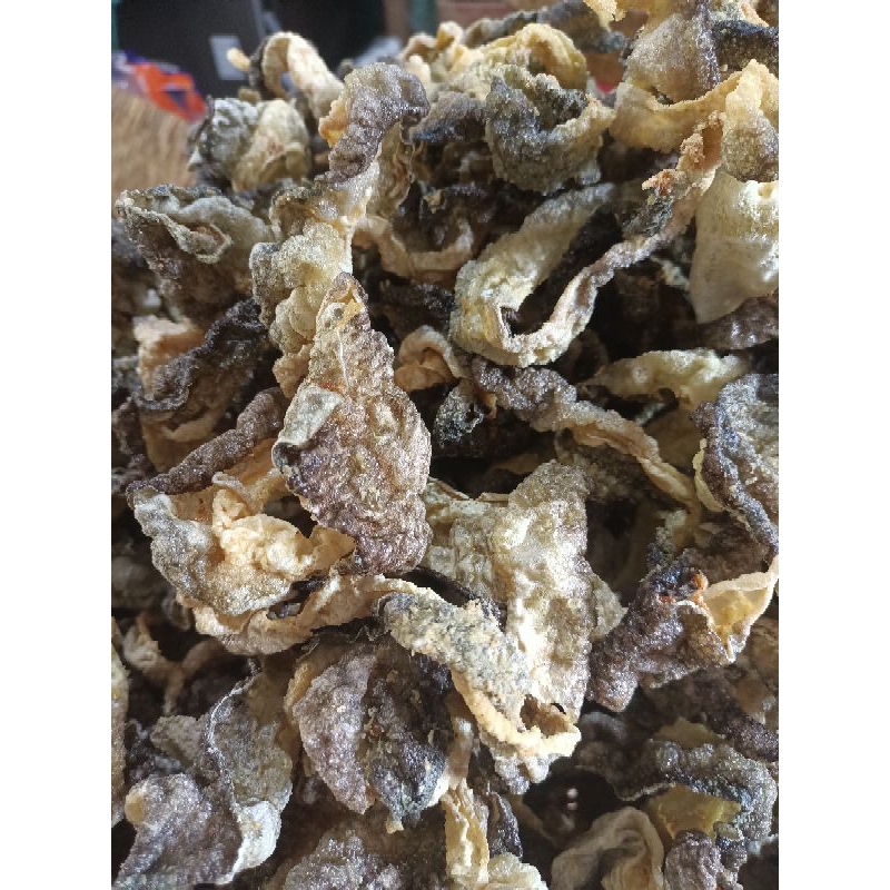 

KERUPUK RAMBAK KULIT SALMON LOKAL MATANG