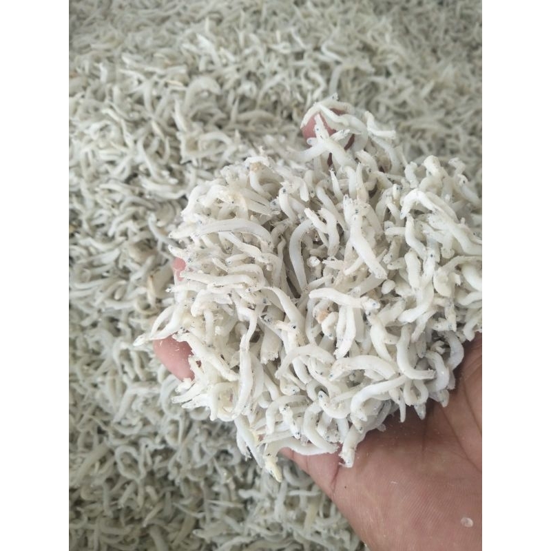 

IKAN TERI NASI MEDAN PREMIUM PUTIH BERSIH
