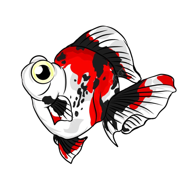 

Stiker Oranda 13CM Bulky