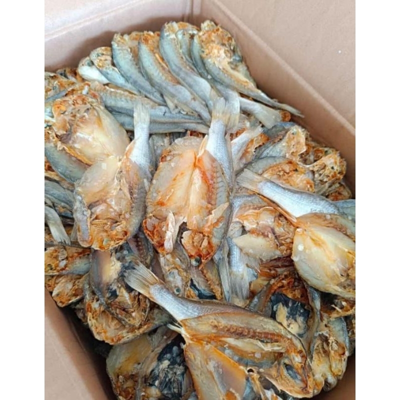 

ikan kepala batu belah