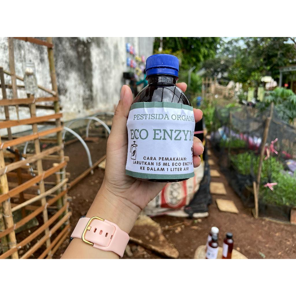 ECO ENZYME PESTISIDA ALAMI ORGANIK