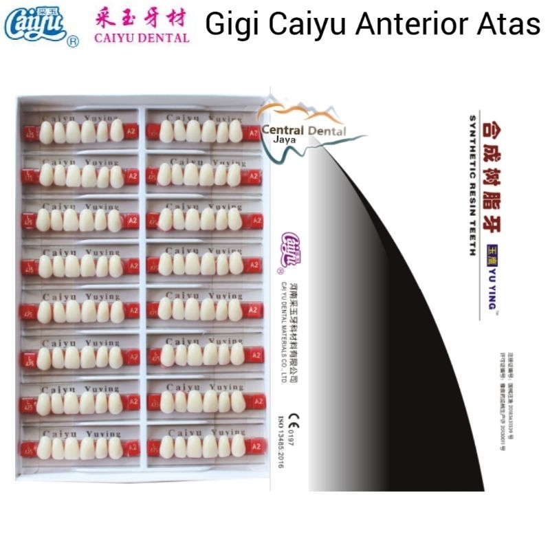 Gigi Palsu Caiyu Anterior Atas (Gigi Depan Atas) / Gigi Akrilik Tiruan Seri Upper (Atas) / CAIYU YUY