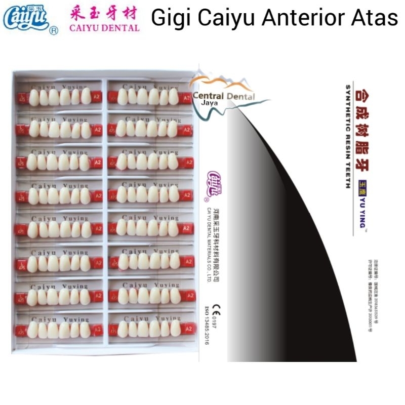 Gigi Palsu Caiyu Anterior Atas (Gigi Depan Atas) / Gigi Akrilik Tiruan Seri Upper (Atas) / CAIYU YUYING Acrylic Teeth / Central Jaya Dental